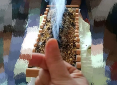 理疗养生，焕发活力身心